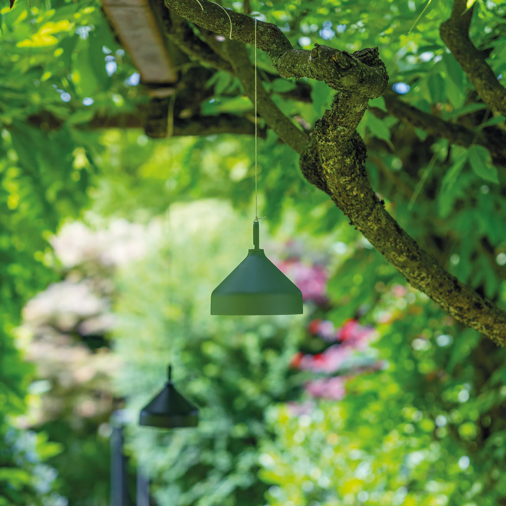 Amelie Pro Hanging Lamp - Image 11