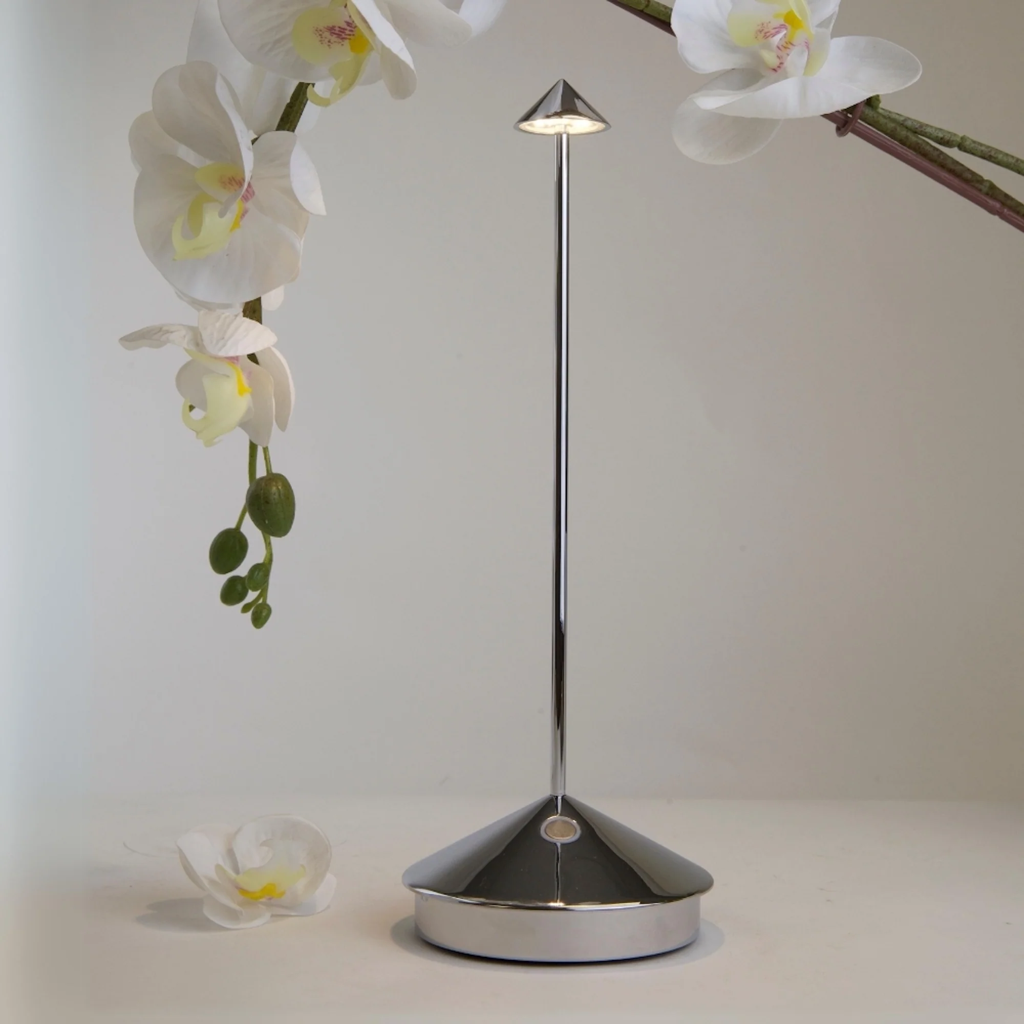 Pina Pro - Image 37